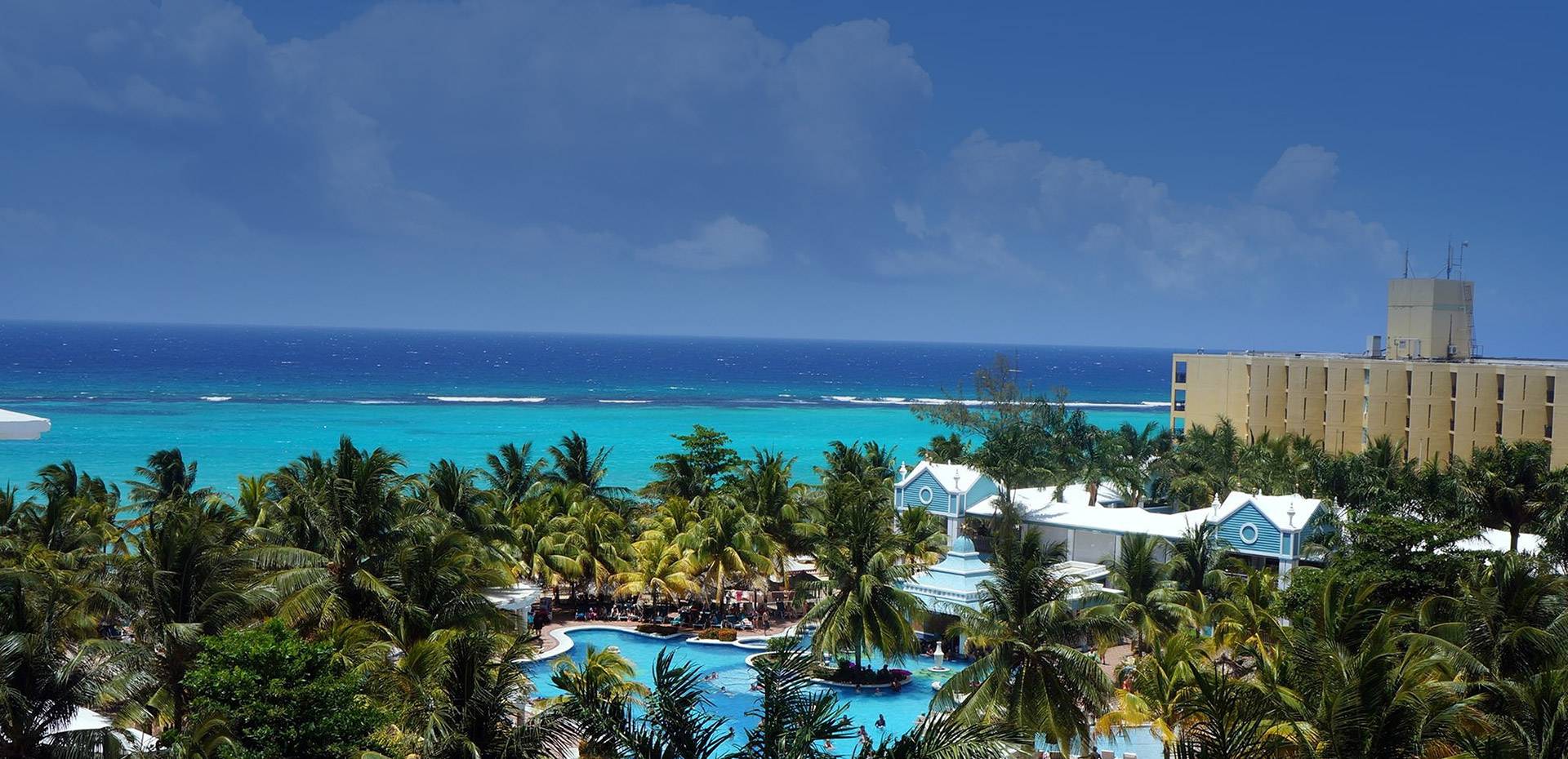 A view of the ocean from above with palm trees.