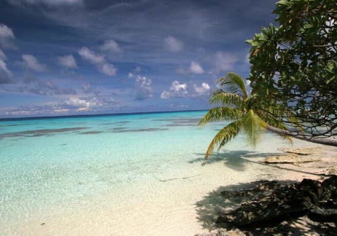 A beach with palm trees and white sand.